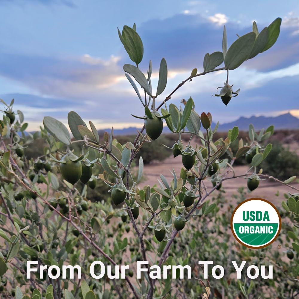 | USDA Certified Organic Jojoba Oil – 100% Pure, Cold Pressed, Natural Moisturizer for Face, Hair, Skin, Nails, Tattoos & Piercings – Travel Size (1 Fl Oz / 29 Ml)